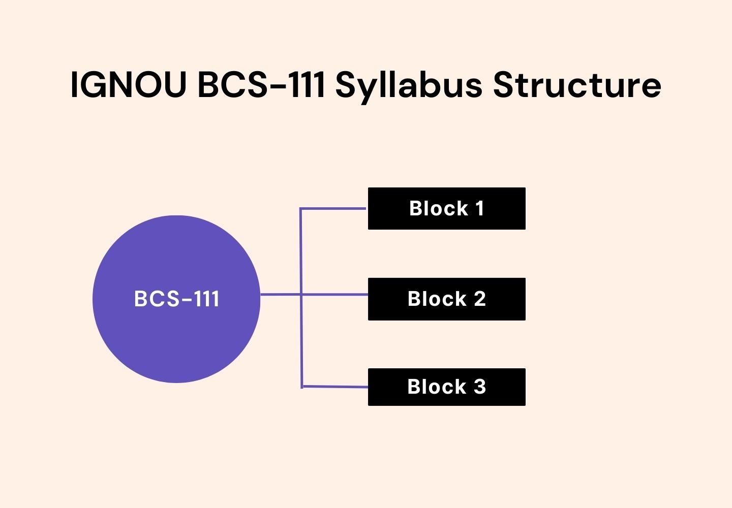 IGNOU BCS-111 syllabus structure diagram showing three study blocks (Block 1, Block 2, Block 3) connected to the central BCS-111 Computer Basics course overview.