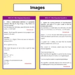 IGNOU MCA ( MA Computer ) Most Repeated Questions eBook - Image 10