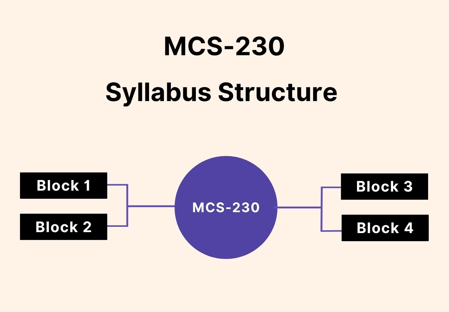 MCS-230 syllabus structure with four blocks (Block 1, Block 2, Block 3, Block 4) connected to the central MCS-230 course.