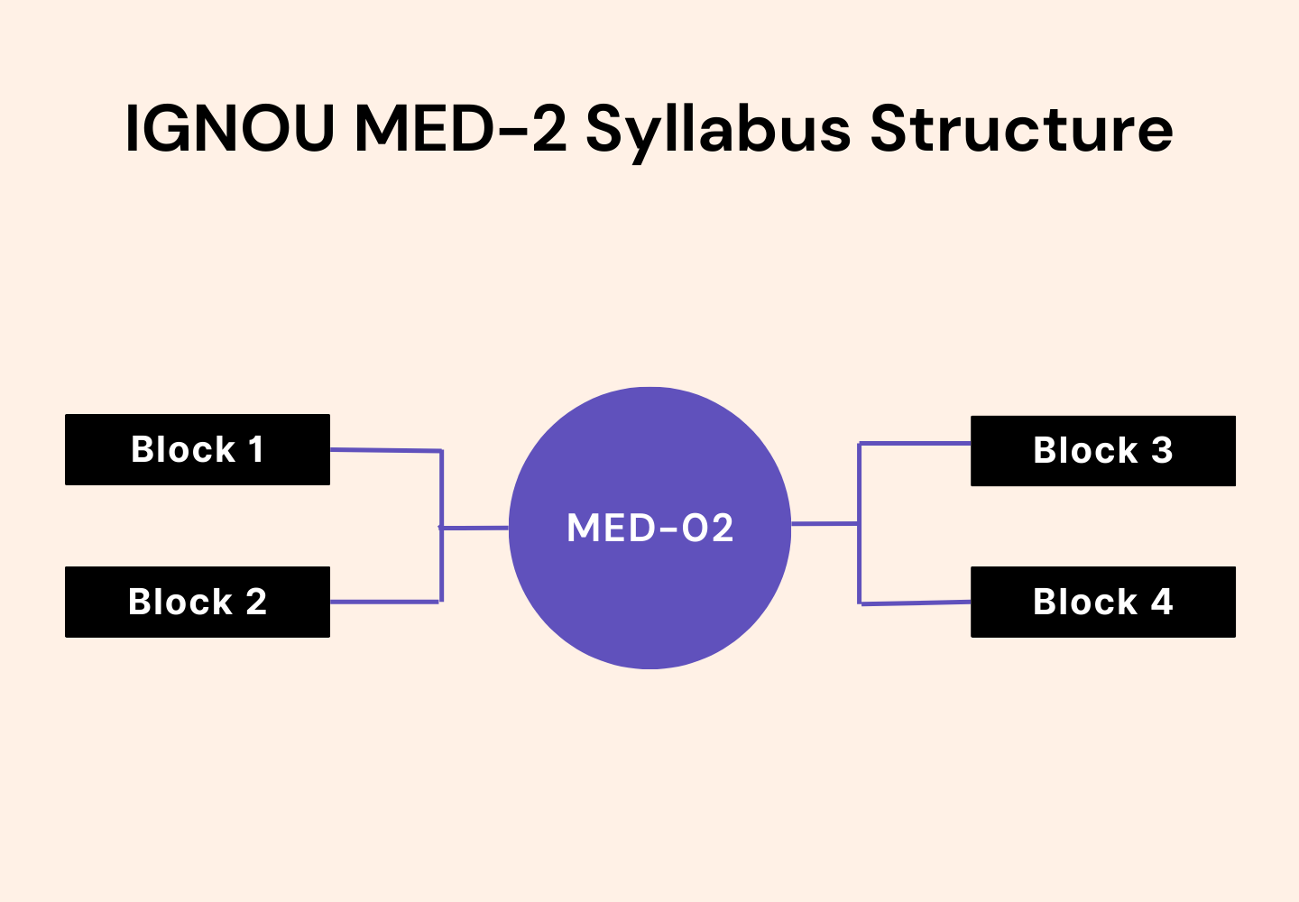 IGNOU MED–2 Syllabus Structure showing a central purple circle labeled ‘MED–02’ connected by branching lines to four black rectangular boxes labeled Block 1 and Block 2 on the left, and Block 3 and Block 4 on the right