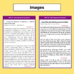 IGNOU MHI 1st Year Most Repeated Questions eBook - Image 10